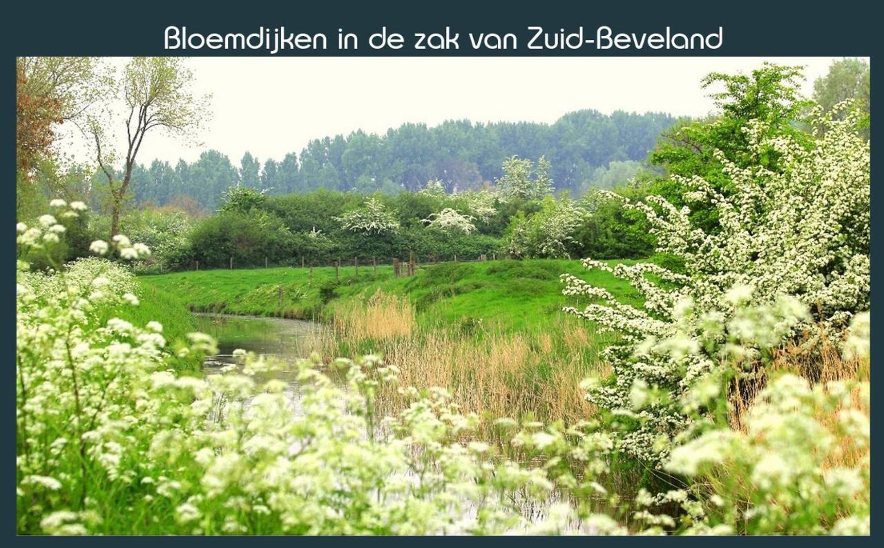 Vakantiewoning Deltahof Ellewoutsdijk ภายนอก รูปภาพ
